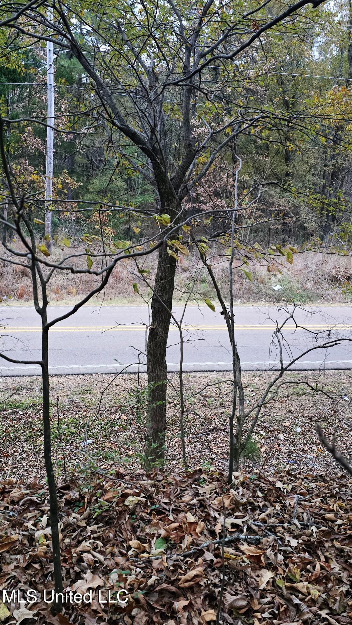 38 Cayce Road Red Banks, MS 38661 - Photo 19 of 19 20241204_162917