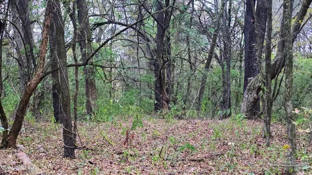 $570,000 | 38 Cayce Road, Red Banks, MS 38661