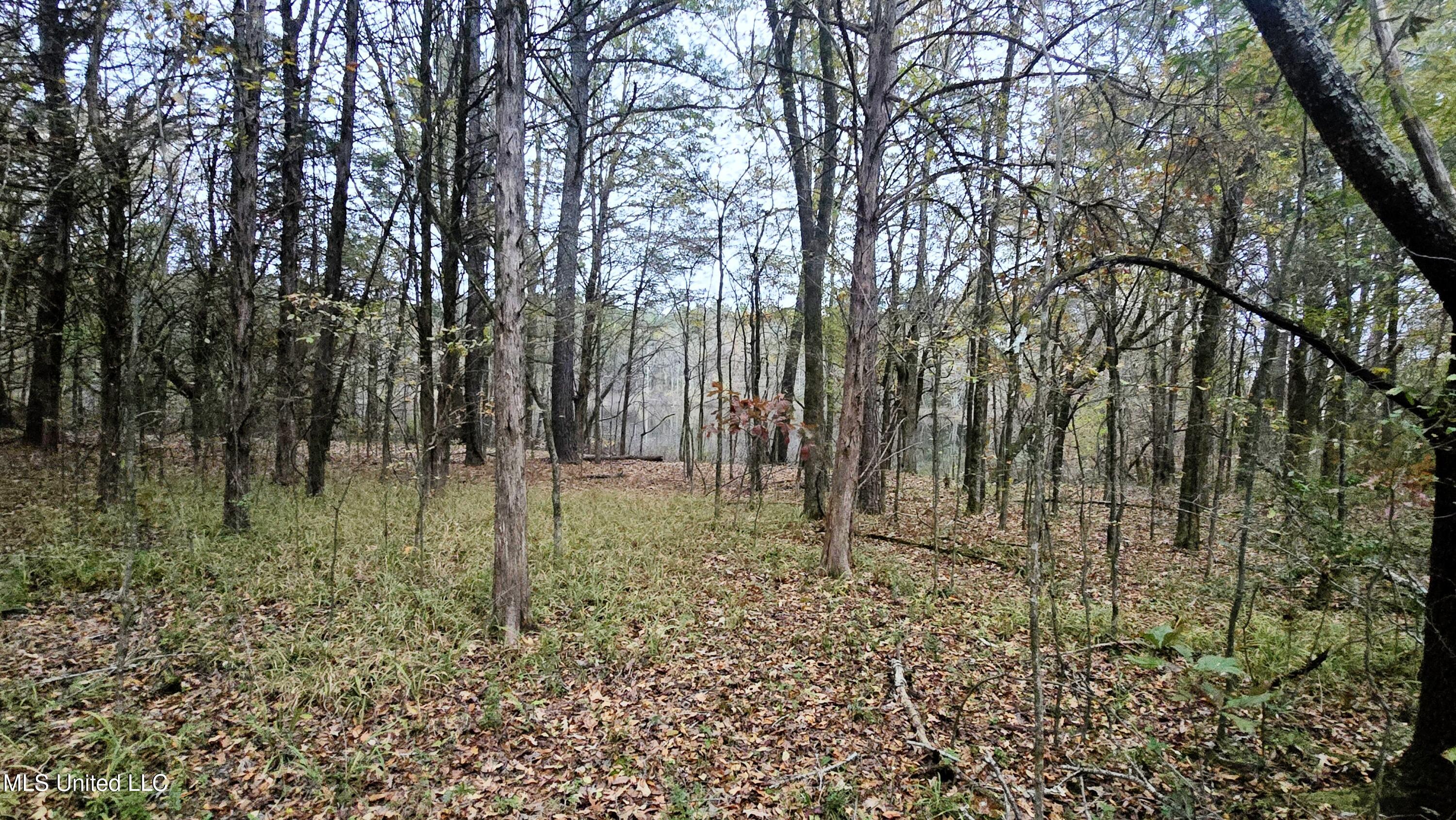 38 Cayce Road Red Banks, MS 38661 - Photo 4 of 19 20241204_161714