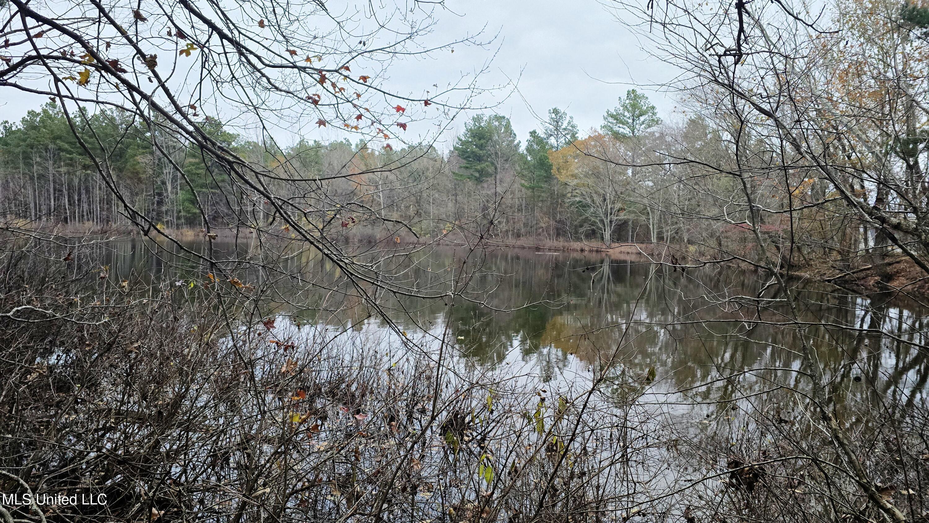 38 Cayce Road Red Banks, MS 38661 - Photo 5 of 19 20241204_161848