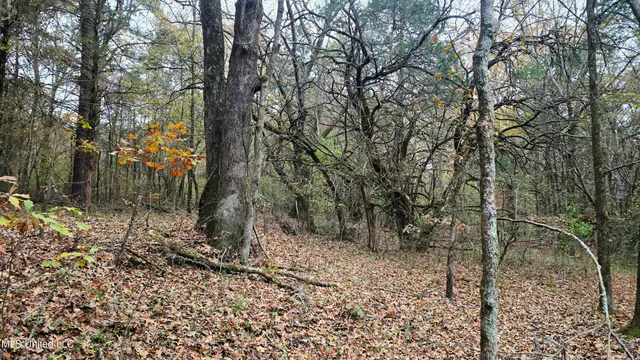 $570,000 | 38 Cayce Road, Red Banks, MS 38661