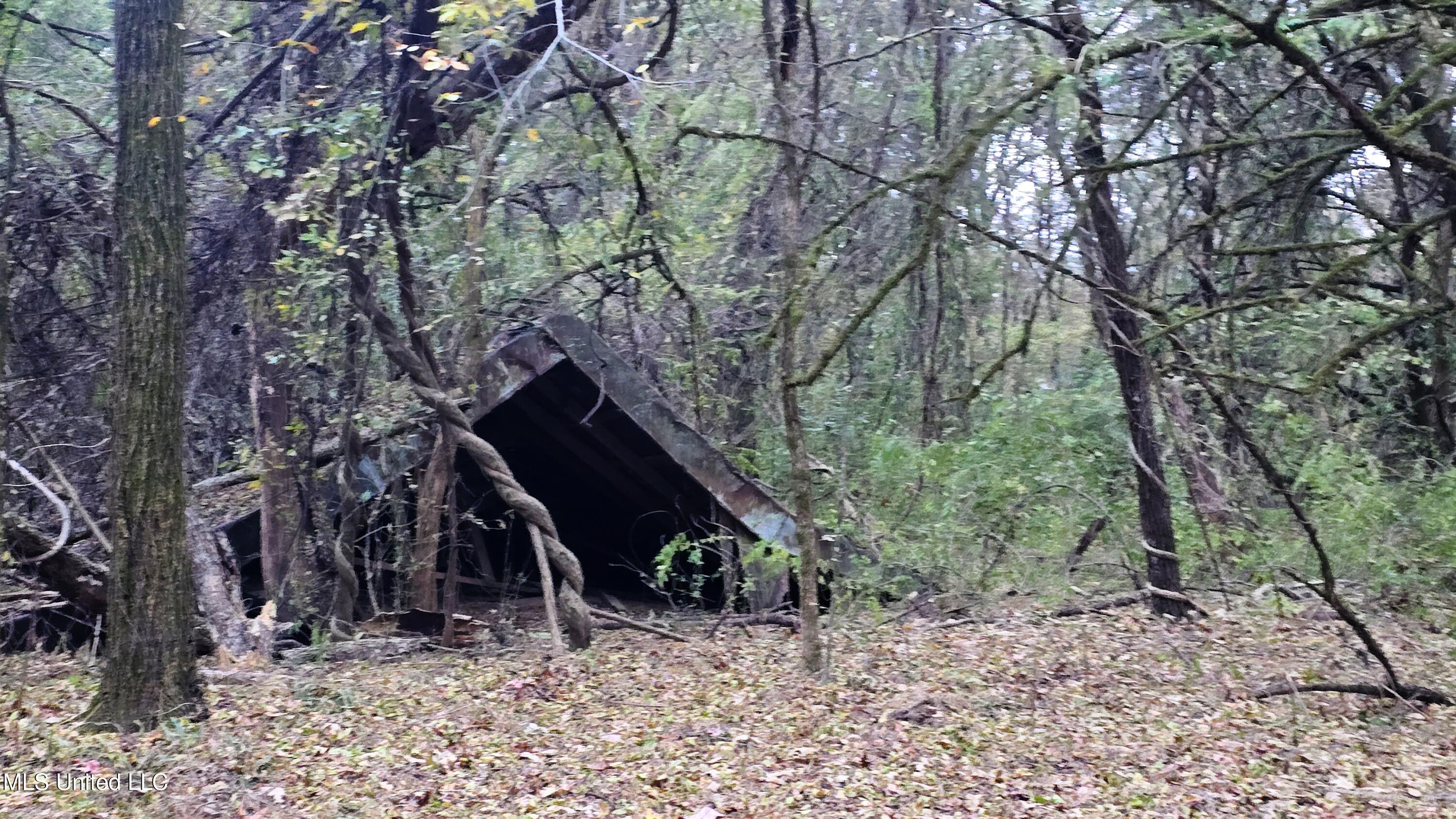 38 Cayce Road Red Banks, MS 38661 - Photo 8 of 19 20241204_161630