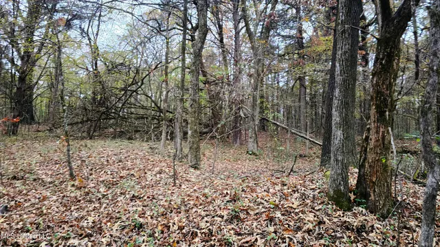 $570,000 | 38 Cayce Road, Red Banks, MS 38661