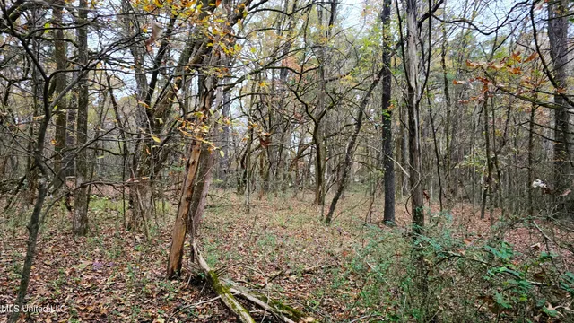 $570,000 | 38 Cayce Road, Red Banks, MS 38661