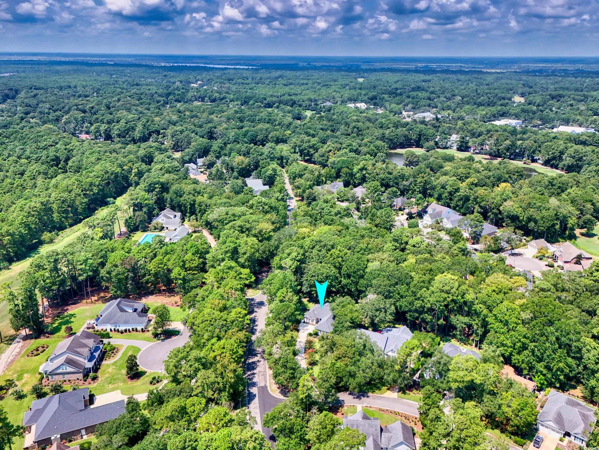 16 Gray Fox Loop Pawleys Island, SC 29585 - Photo 38 of 40