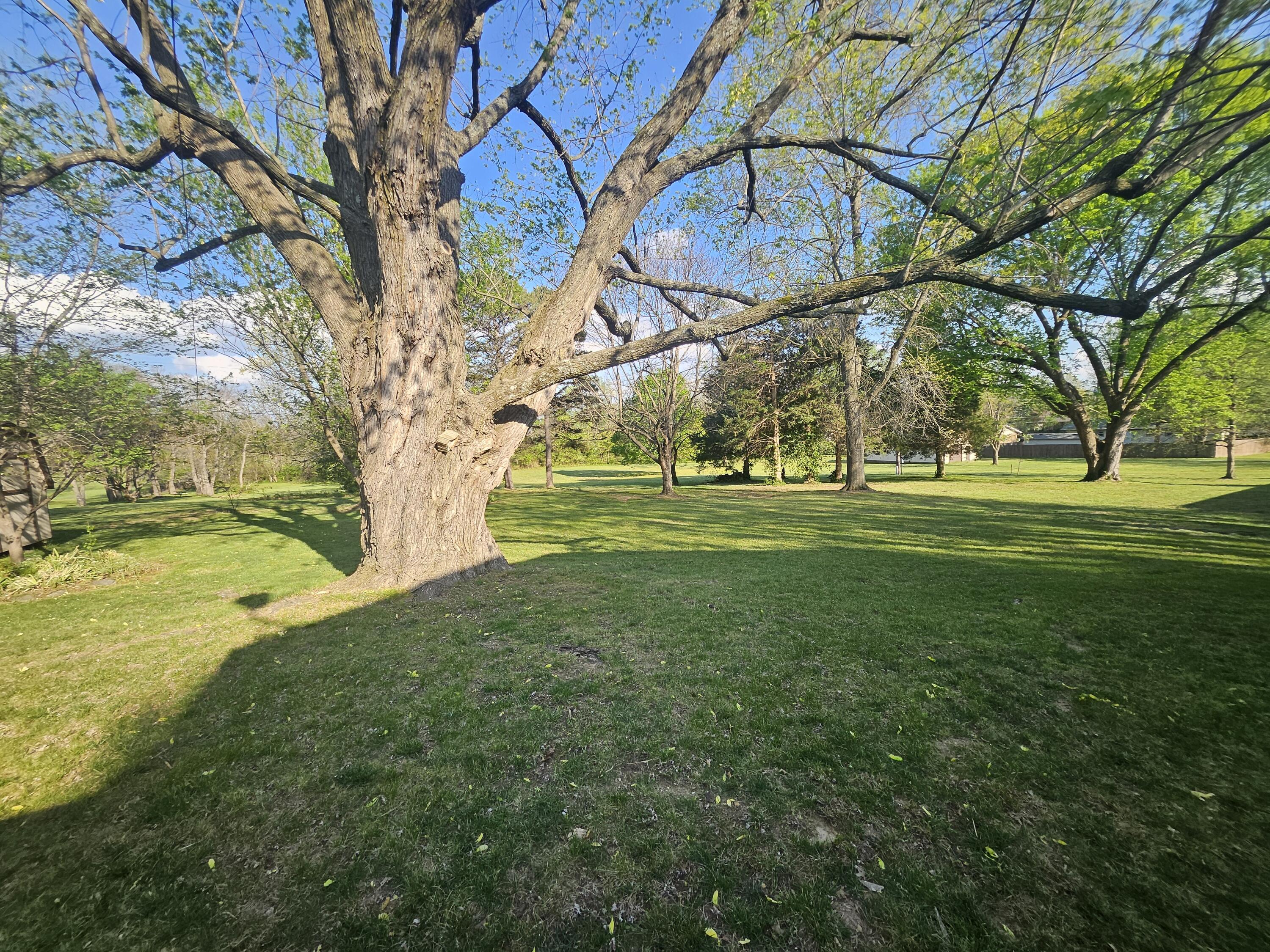 1105 North 14th Street Monett, MO 65708 - Photo 43 of 49 20260409_172635