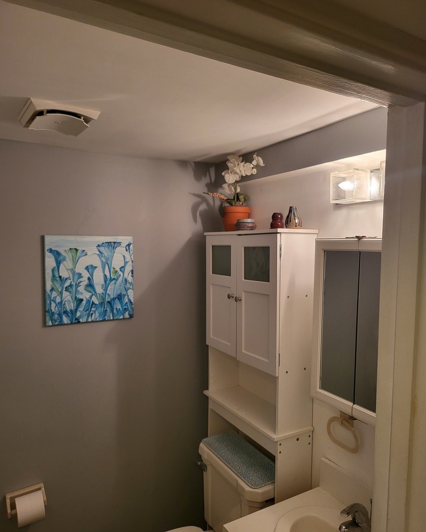 6337 Roosevelt Road, Unit 105 Berwyn, IL 60402 - Photo 12 of 20 a bathroom with a sink and mirror