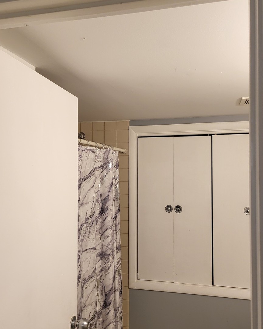 6337 Roosevelt Road, Unit 105 Berwyn, IL 60402 - Photo 9 of 20 a bathroom with a shower