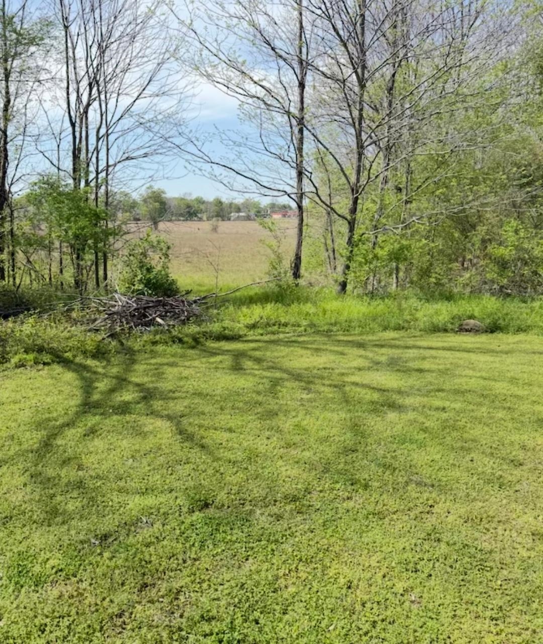 0 Swoop Road Drew, MS 38737 - Photo 12 of 15 View of yard