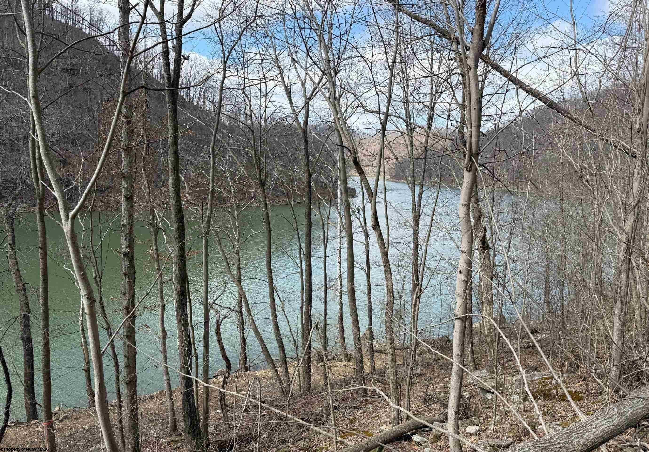 Lot 4 Brooklyn Road Parsons, WV 26287 - Photo 7 of 14 Gallery Image 7