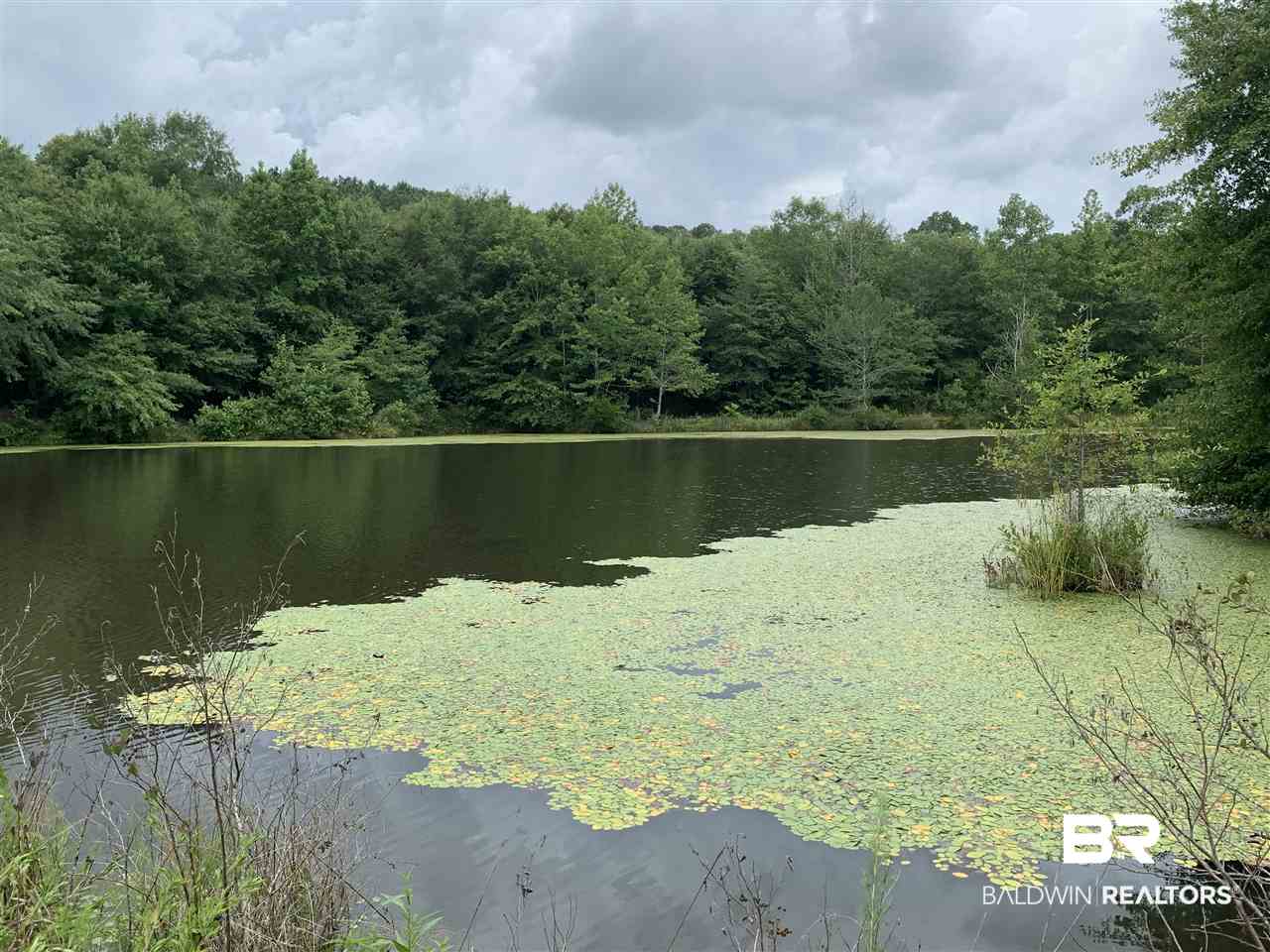 1178 Dry Lake Road Luverne, AL 36049 - Photo 38 of 50