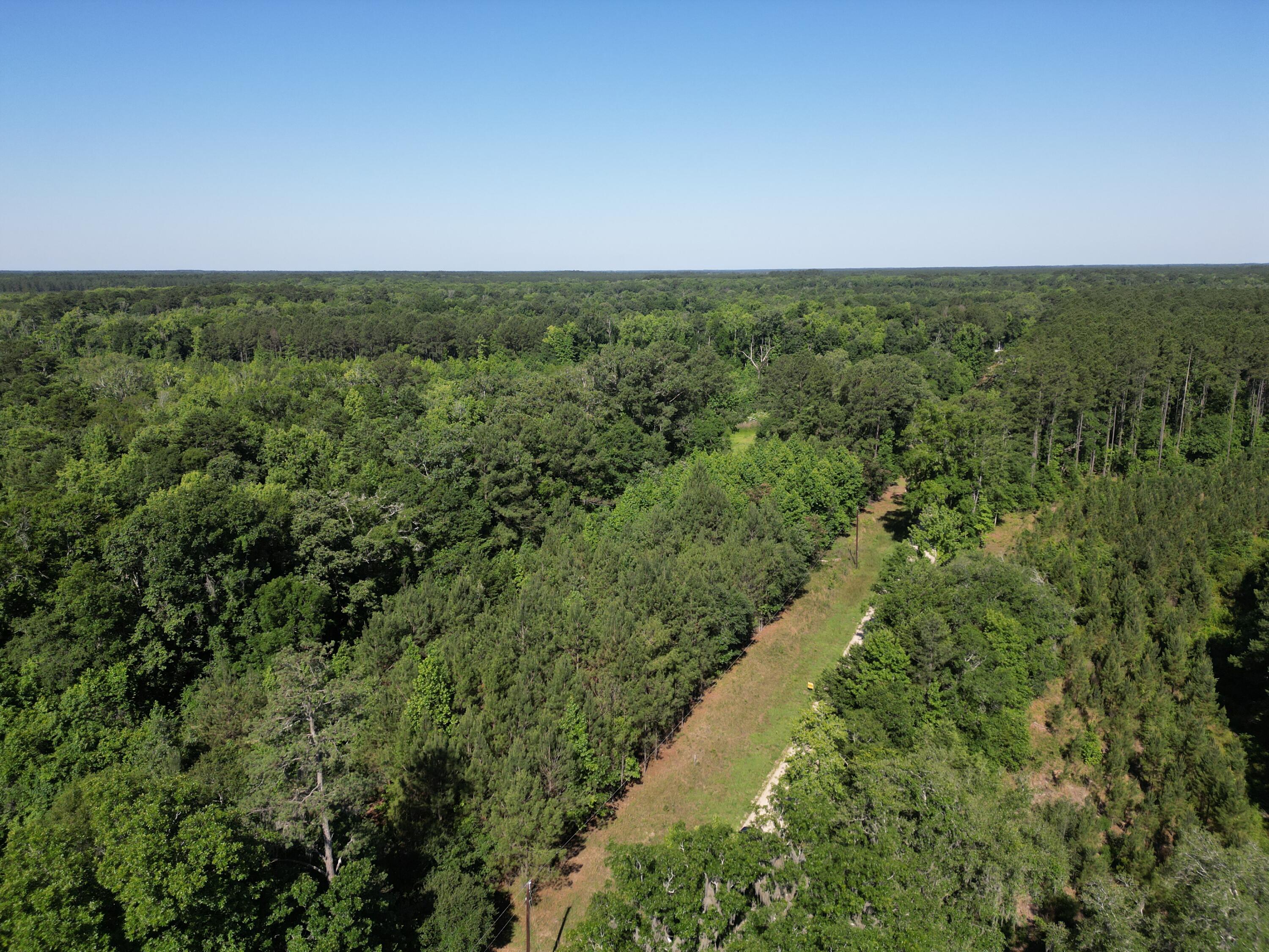 0 Hyde Park Road Adams Run, SC 29426 - Photo 11 of 12 dji_fly_20260514_050910_161_178137493411