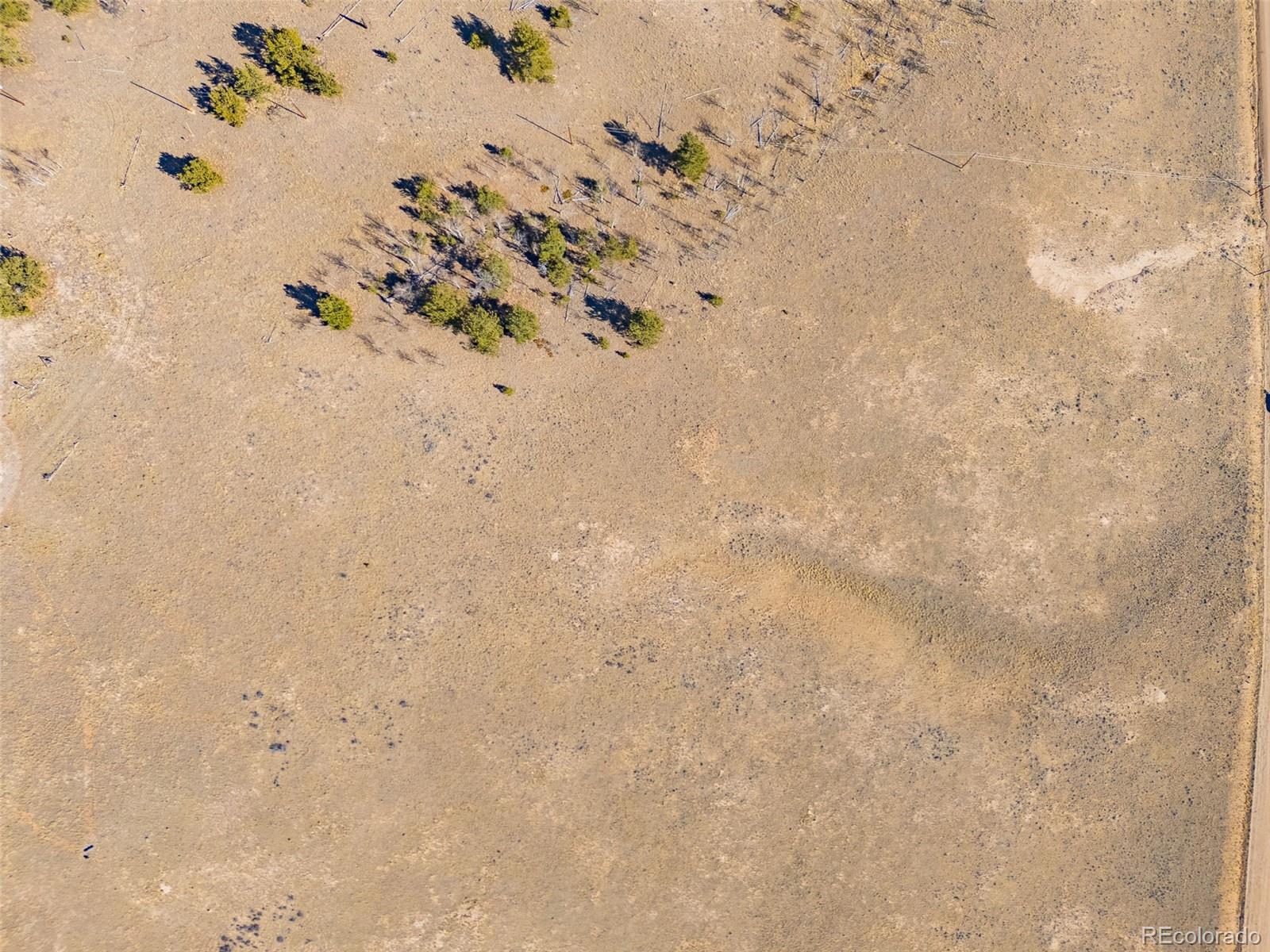 11414 Ranch Road Hartsel, CO 80449 - Photo 6 of 11