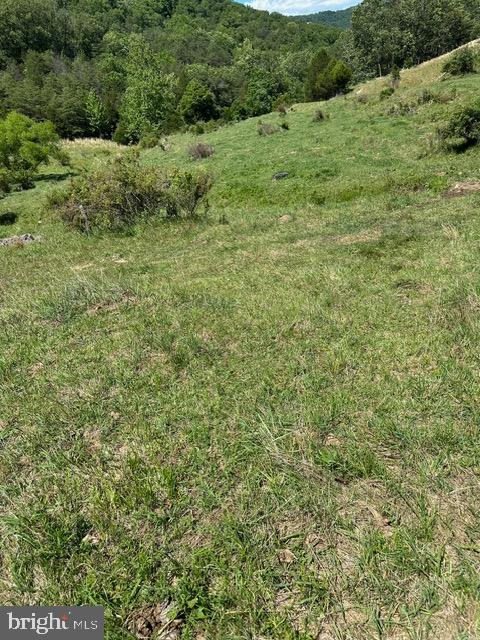 1096 Co Rte 10/2 Franklin, WV 26807 - Photo 15 of 23