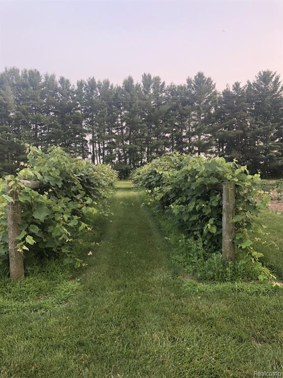 6523 Jones Road North Branch, MI 48461 - Photo 62 of 62