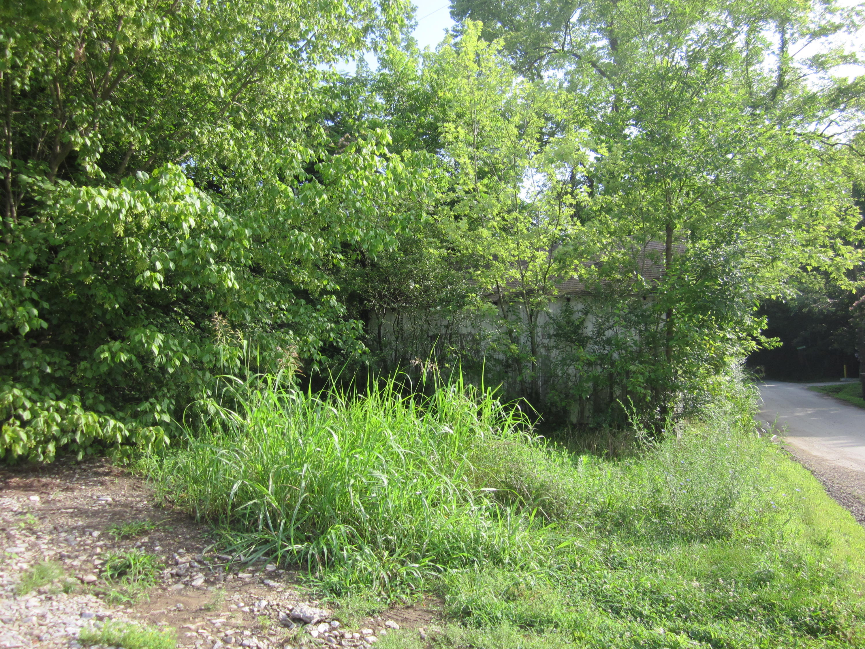 235 Ralston Lane Winchester, KY 40391 - Photo 2 of 2 IMG_6928