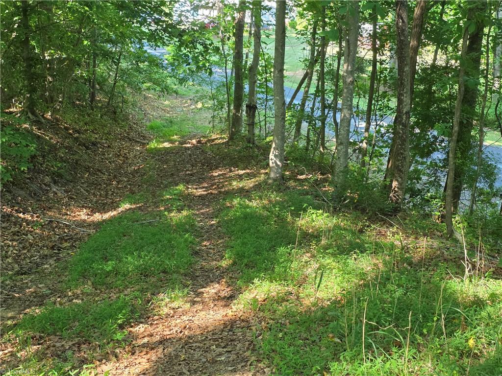 1055 Ed Booth Road Westfield, NC 27053 - Photo 2 of 15