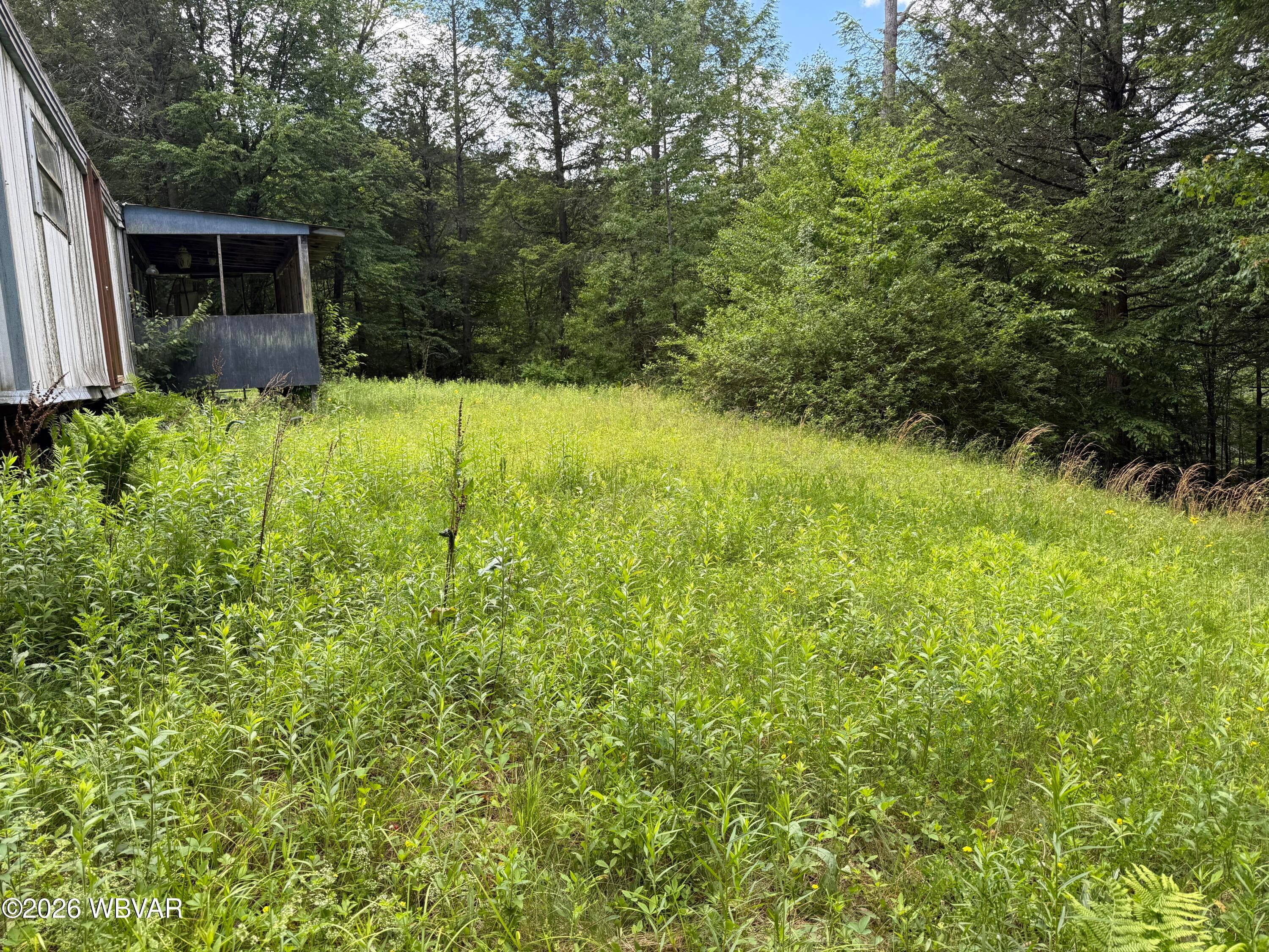 19 Price Road Muncy Valley, PA 17758 - Photo 17 of 42 Gallery Image 17