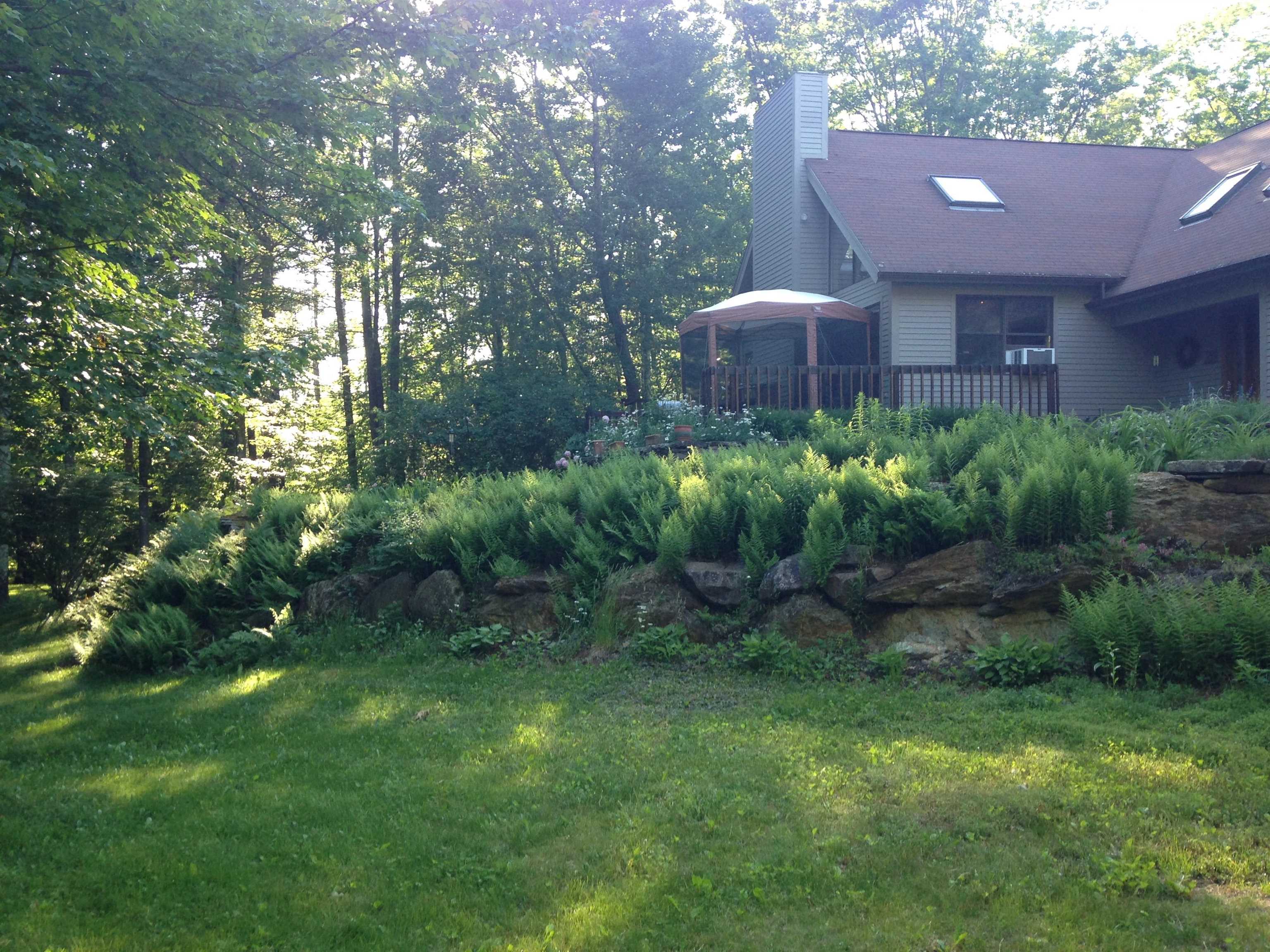 490 Clough Road Pittsfield, NH 03263 - Photo 60 of 60