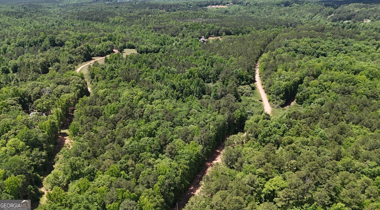 0 Creek Road, Unit LOT 2 Ashland, AL 36251 - Photo 5 of 20