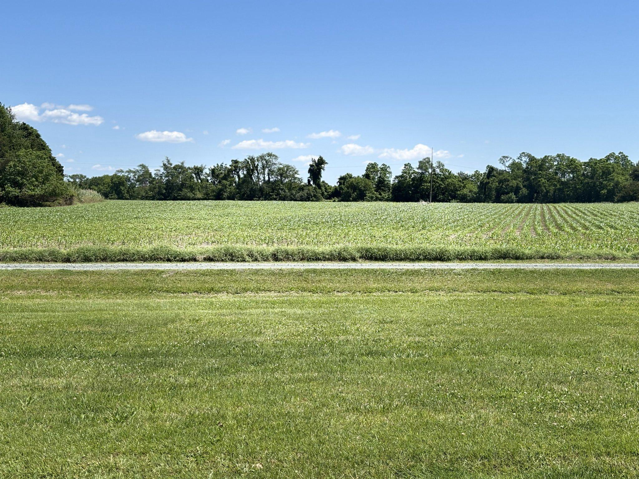 300 Woods Point Road Chester, MD 21619 - Photo 15 of 16 Vast green fields at adjacent 100 AC estate