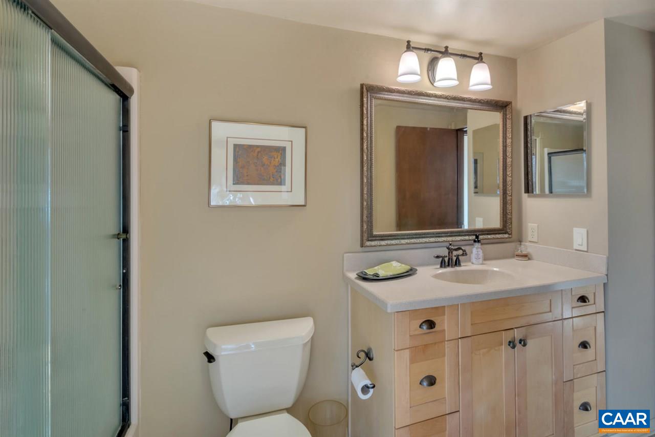 240 Turkey Ridge Road Charlottesville, VA 22903 - Photo 17 of 42 Gallery Image 17