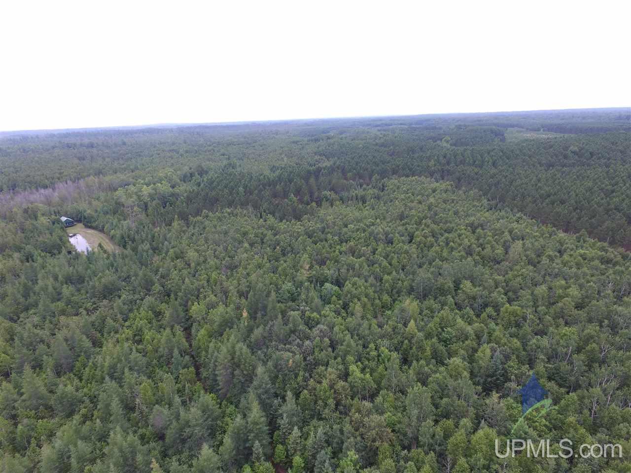 2324 Carlson Road Manistique, MI 49854 - Photo 6 of 35 Gallery Image 6