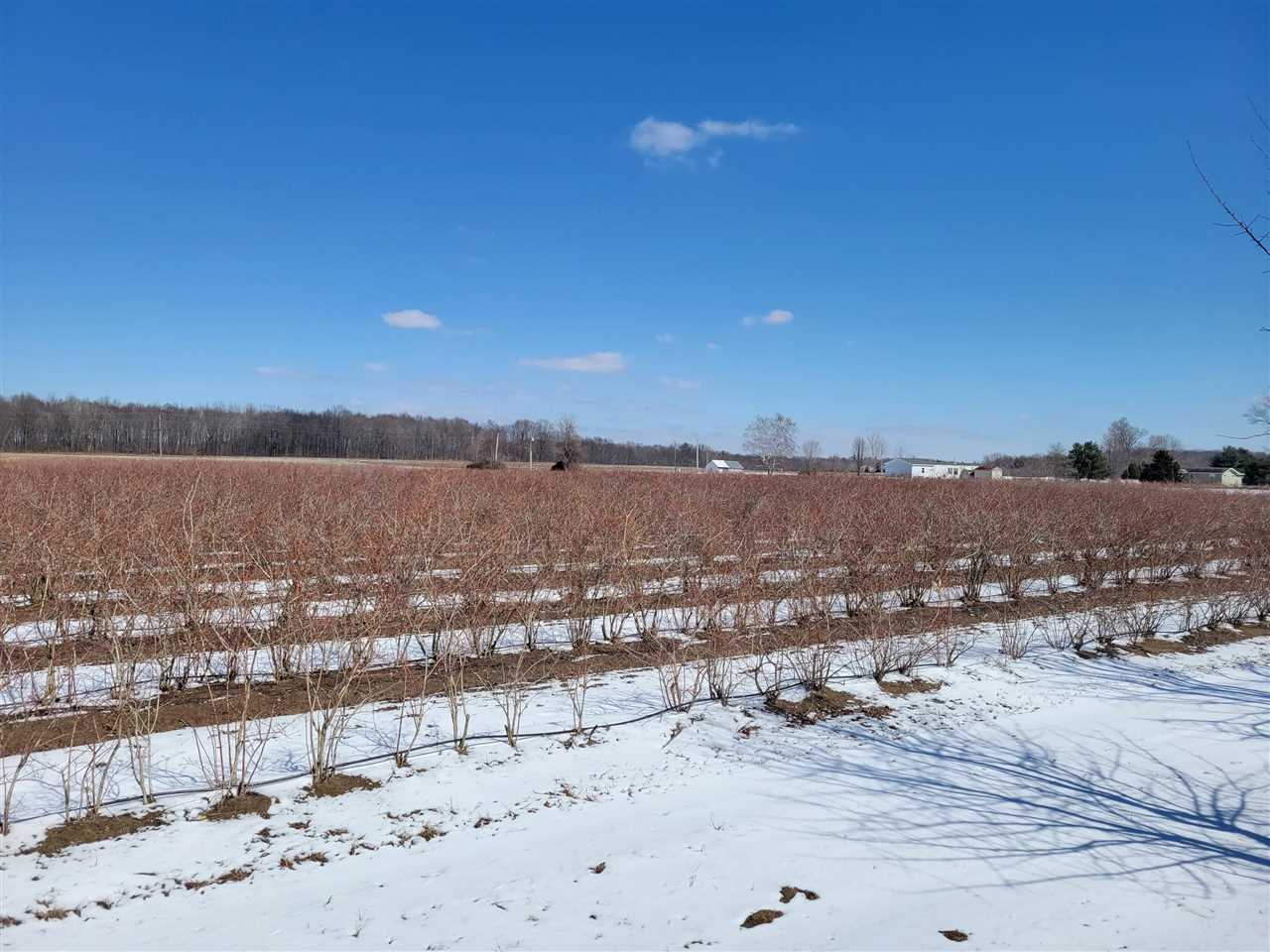 Lot B54 Co Road Covert, MI 49043 - Photo 20 of 28