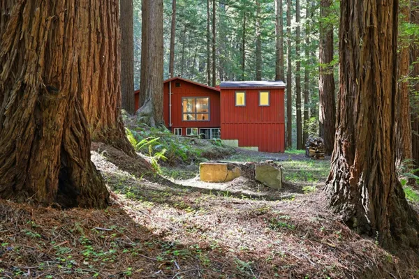 a view of a back yard of the house