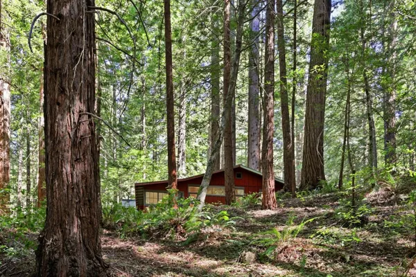 a view of outdoor space and yard