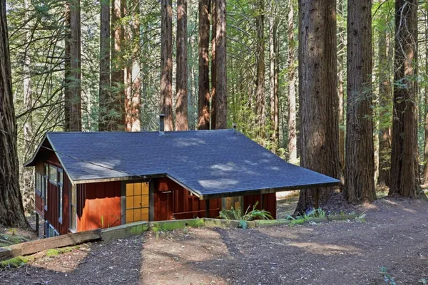a view of a house with large trees and plants