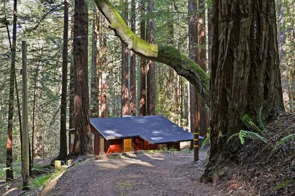 a view of outdoor space yard and patio