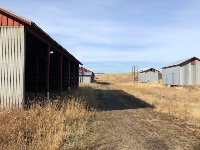 21-xxx North Division Road Colbert, WA 99005 - Photo 1 of 20