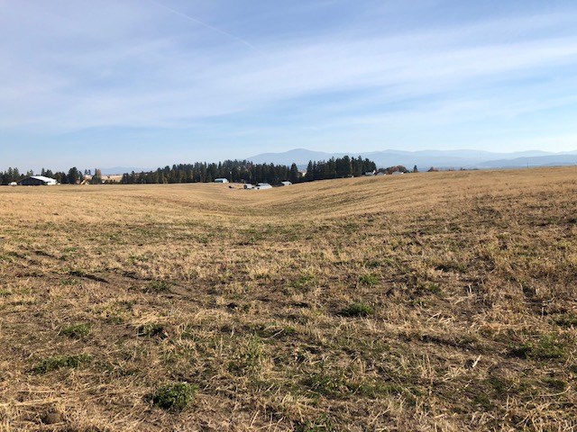 21-xxx North Division Road Colbert, WA 99005 - Photo 2 of 20