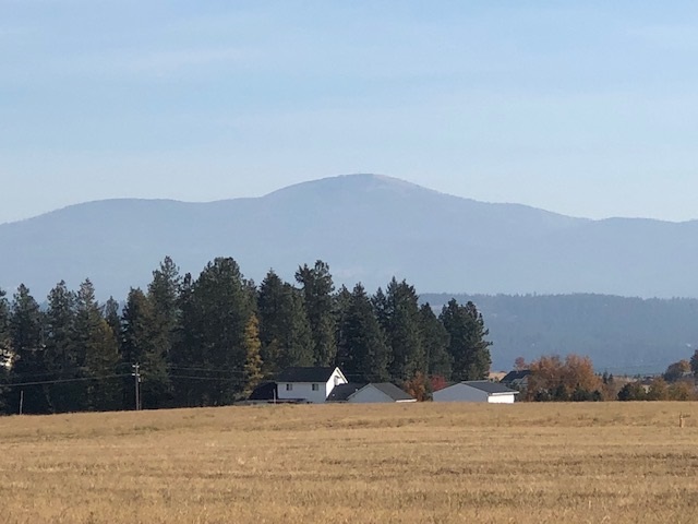 21-xxx North Division Road Colbert, WA 99005 - Photo 11 of 20