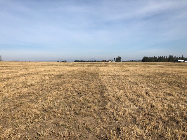 21-xxx North Division Road Colbert, WA 99005 - Photo 12 of 20
