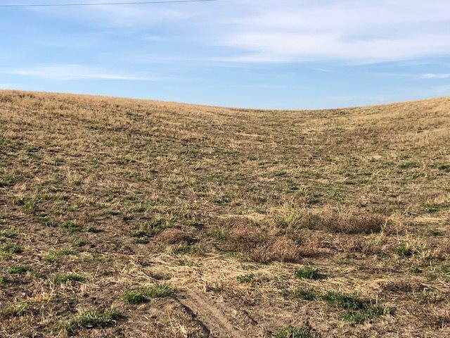 21-xxx North Division Road Colbert, WA 99005 - Photo 13 of 20
