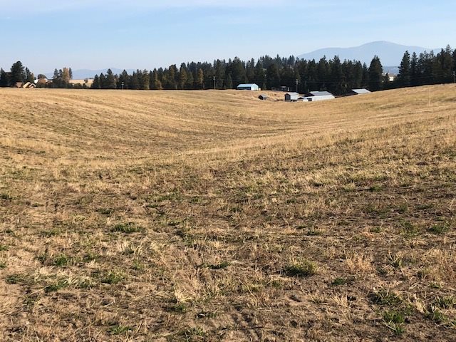21-xxx North Division Road Colbert, WA 99005 - Photo 14 of 20