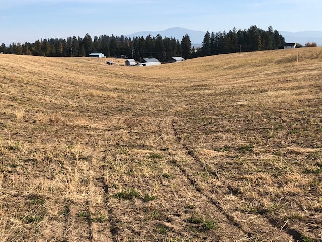 21-xxx North Division Road Colbert, WA 99005 - Photo 15 of 20