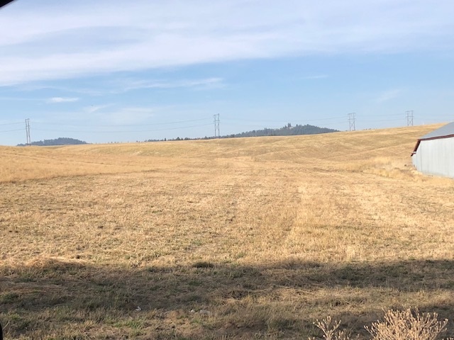 21-xxx North Division Road Colbert, WA 99005 - Photo 19 of 20