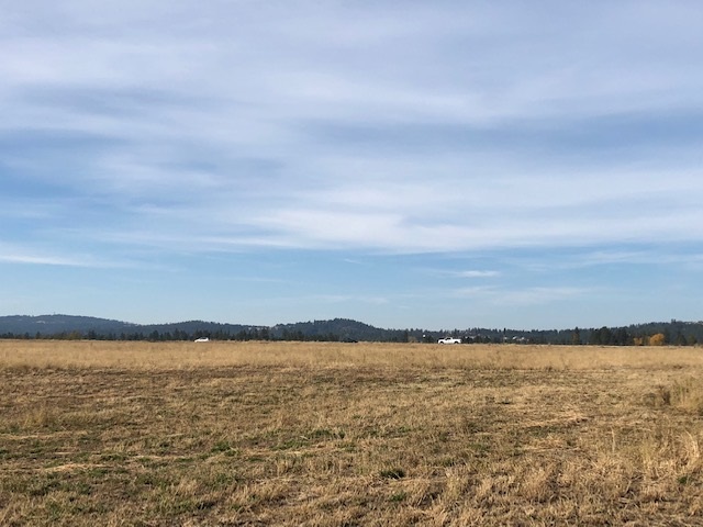 21-xxx North Division Road Colbert, WA 99005 - Photo 3 of 20