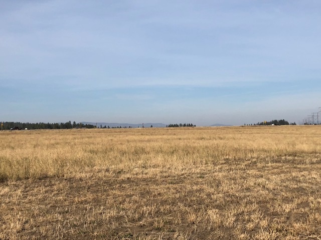 21-xxx North Division Road Colbert, WA 99005 - Photo 4 of 20