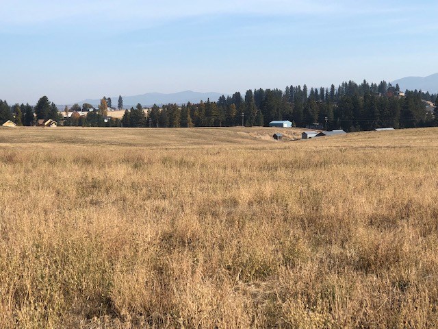 21-xxx North Division Road Colbert, WA 99005 - Photo 5 of 20
