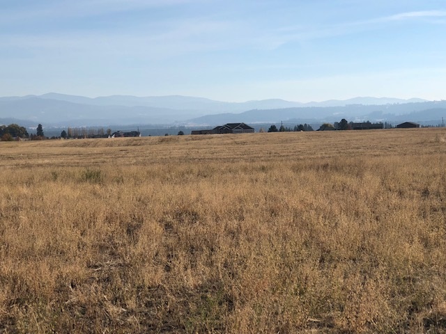 21-xxx North Division Road Colbert, WA 99005 - Photo 6 of 20