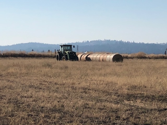 21-xxx North Division Road Colbert, WA 99005 - Photo 7 of 20