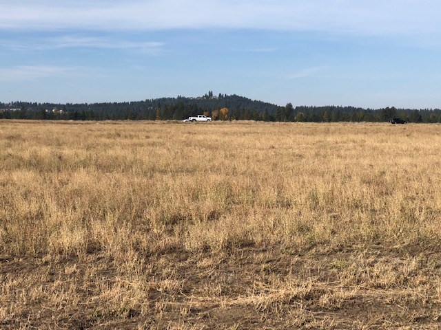 21-xxx North Division Road Colbert, WA 99005 - Photo 8 of 20