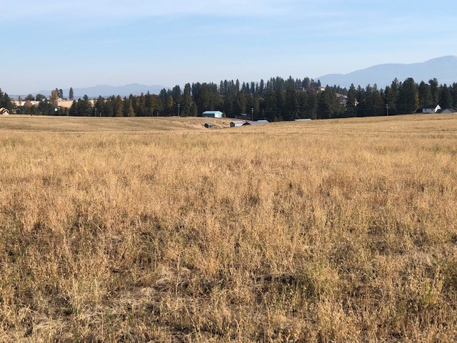 21-xxx North Division Road Colbert, WA 99005 - Photo 9 of 20