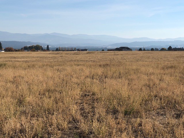 21-xxx North Division Road Colbert, WA 99005 - Photo 10 of 20