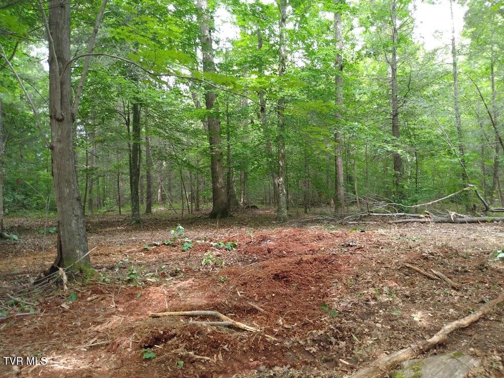 2 Laws Road, Unit 2 ONLY Greeneville, TN 37743 - Photo 19 of 26 Laws Rd Lots 1 & 2