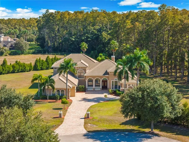 $2,475,000 | 17336 Ballmont Park Drive, Odessa, FL 33556